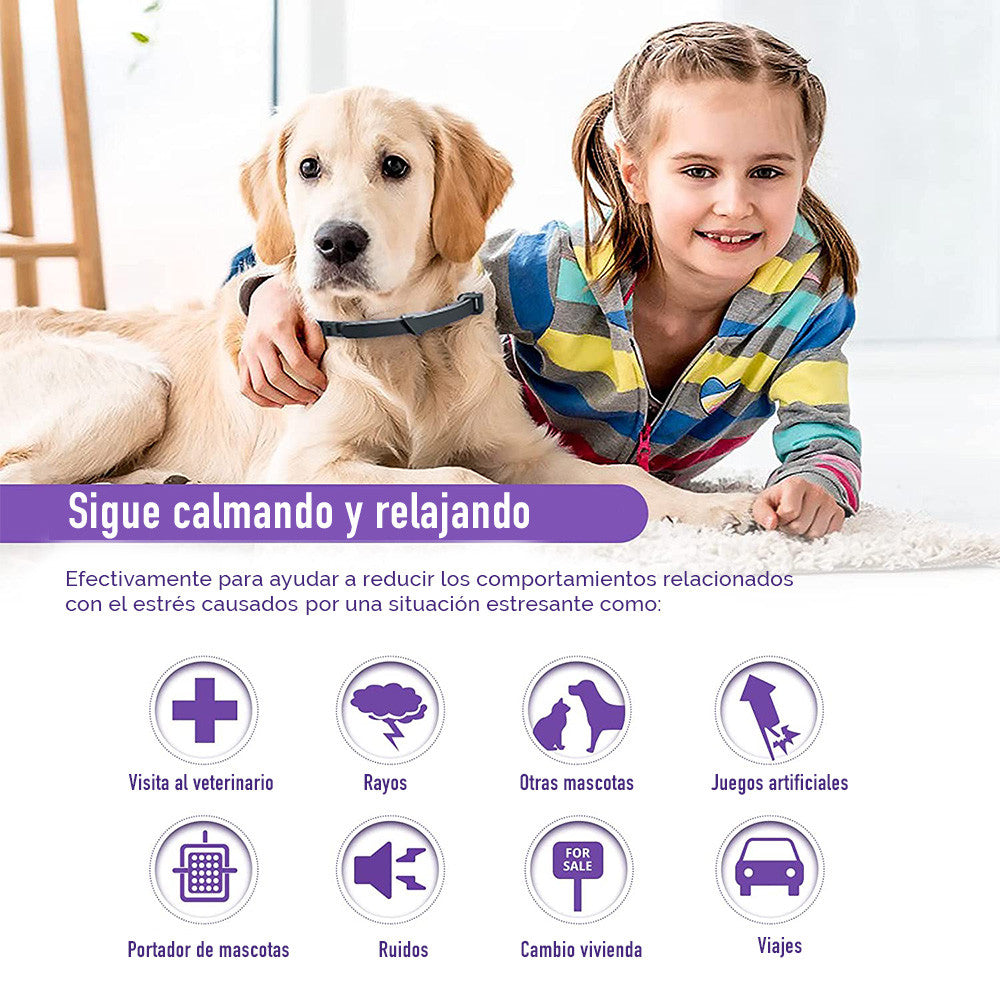 Collar Relajante Para  Perros Feromonas