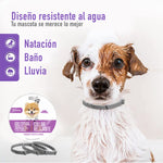 Collar Relajante Para  Perros Feromonas