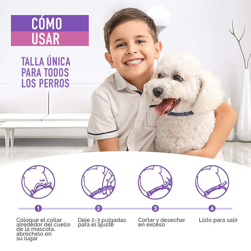 Collar Relajante Para  Perros Feromonas