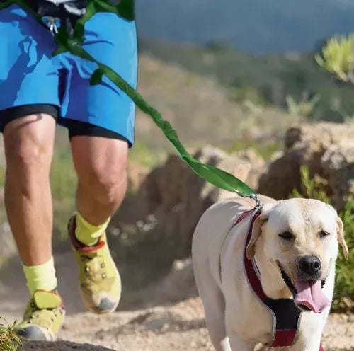 Correa Paseadora De Perros Para Correr