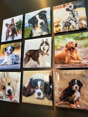 Fotoimanes Personalizados – Pack de 9 Recuerdos